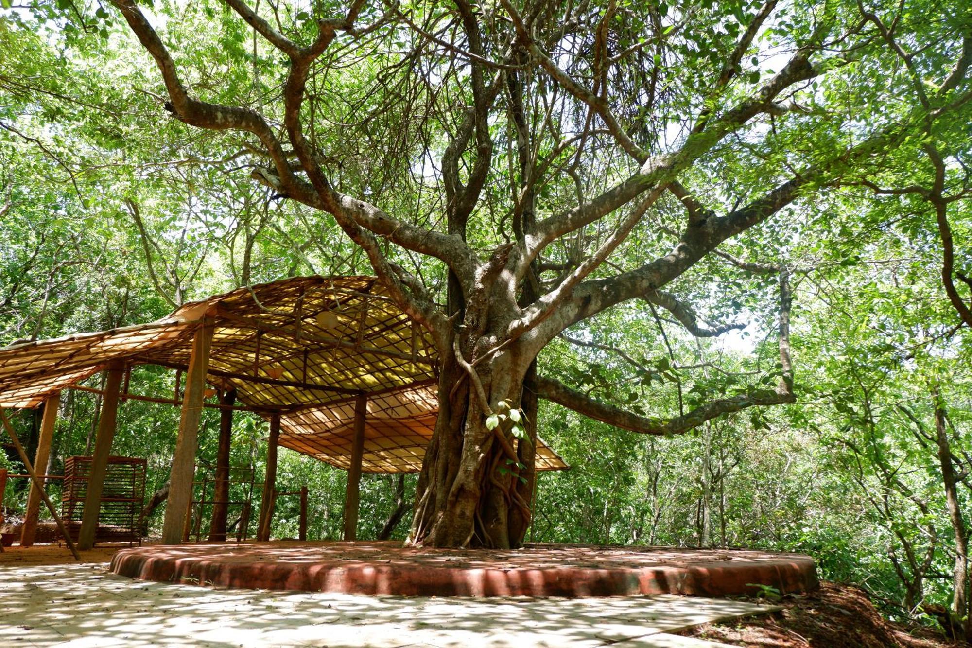 Khaama Kethna Eco Sustainable Village Agonda Exterior foto