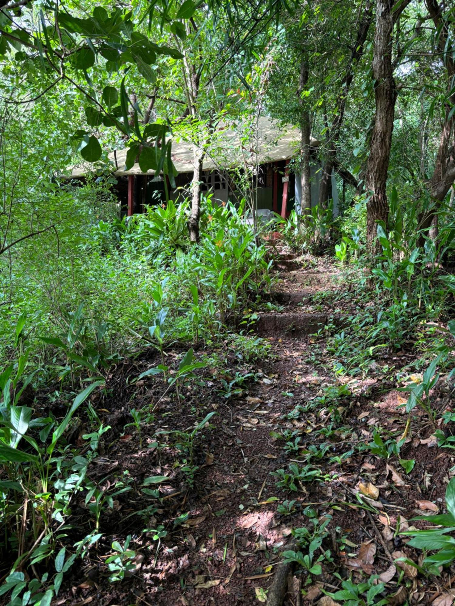 Khaama Kethna Eco Sustainable Village Agonda Exterior foto